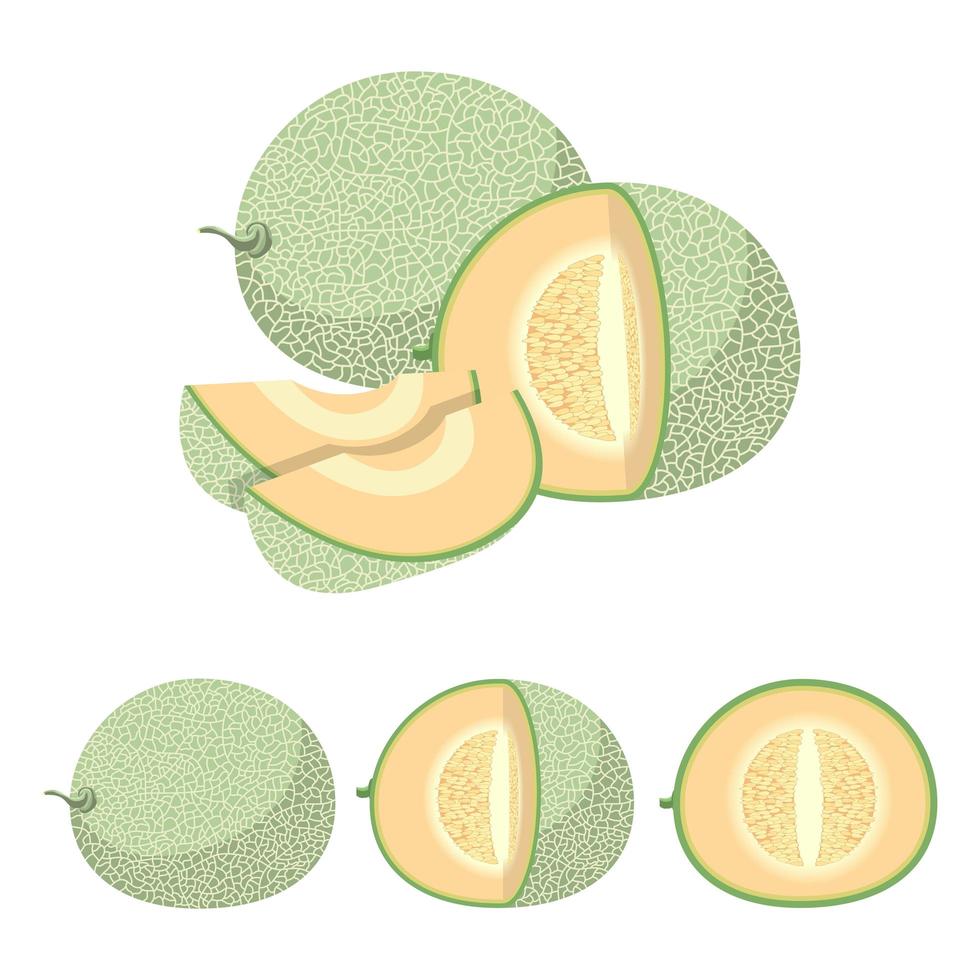 melón en blanco vector