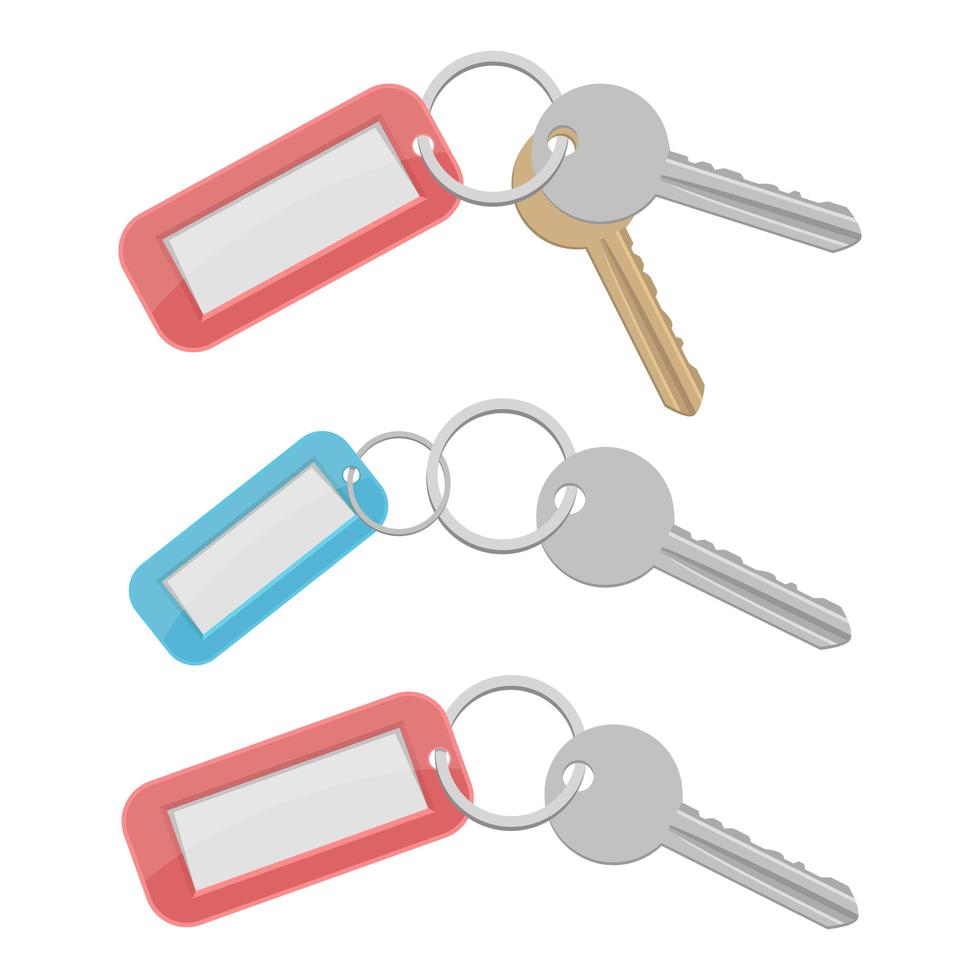 Door key set isolated on white background vector