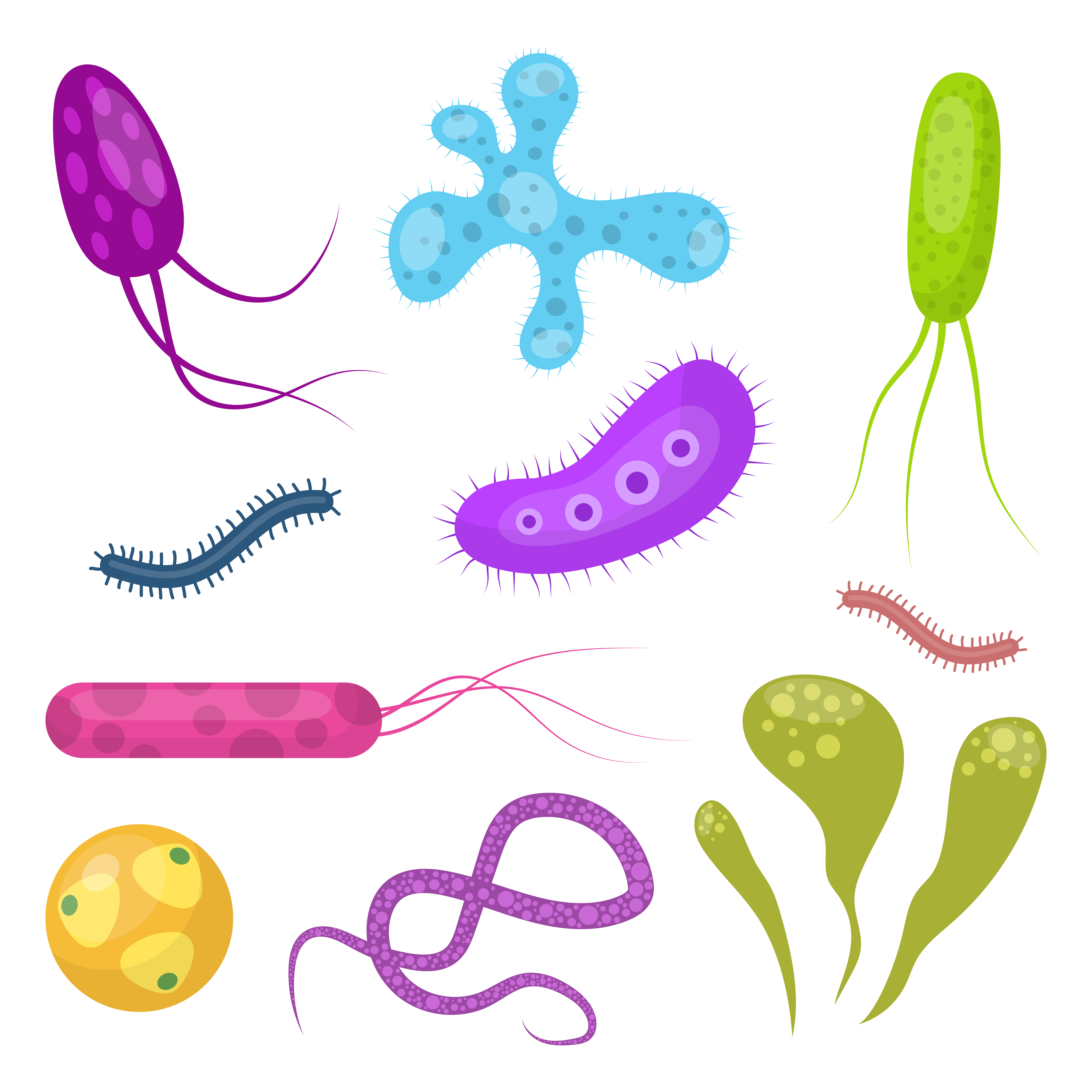 Gut Bacteria Vector Art, Icons, and Graphics for Free Download
