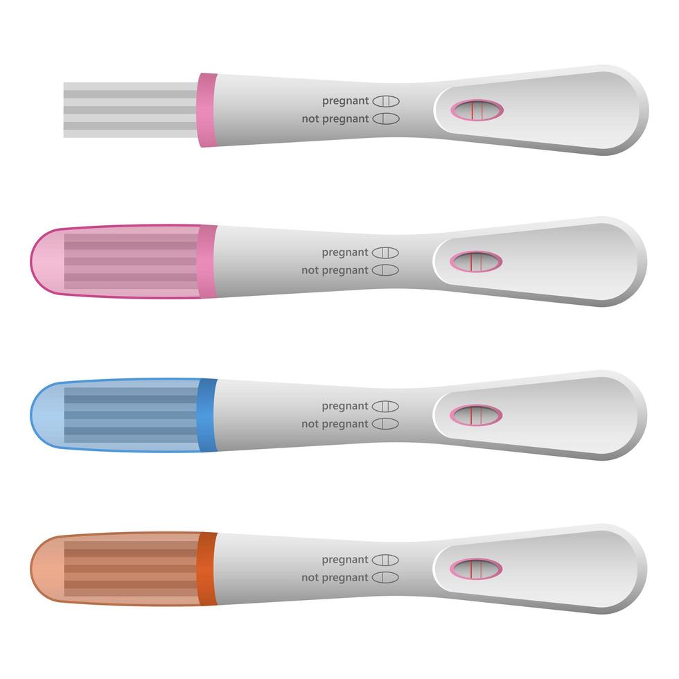 Pregnancy test isolated on white background vector