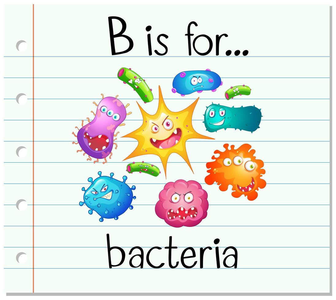 Flashcard alphabet B is for bacteria vector