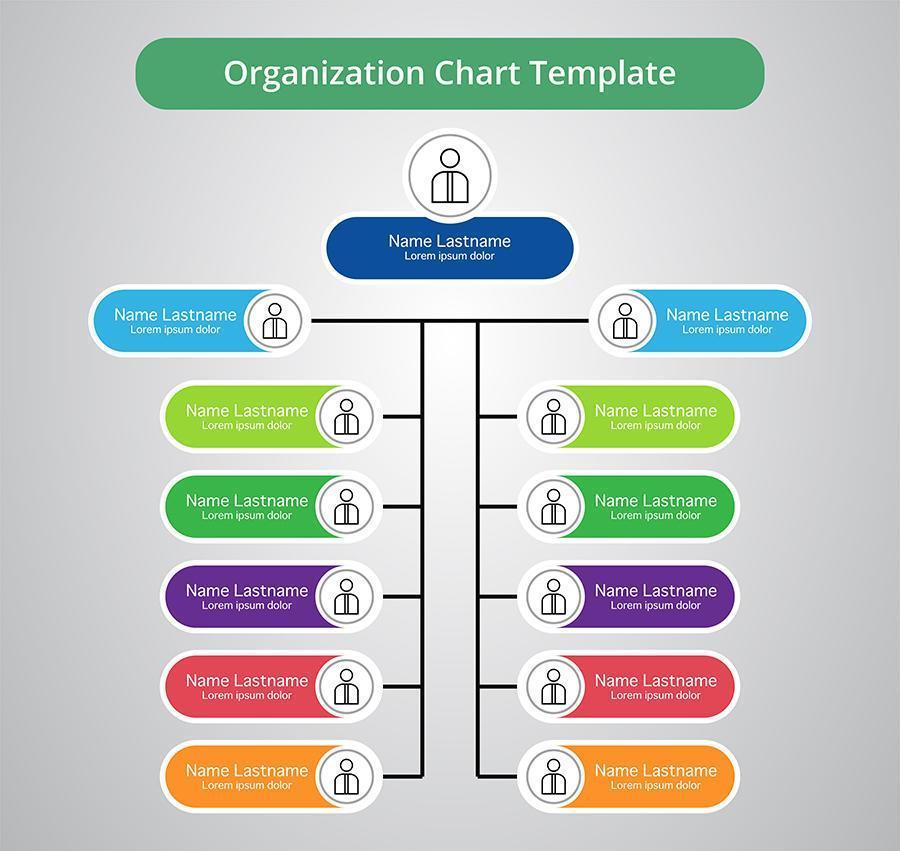 organigrama con etiquetas de colores vector