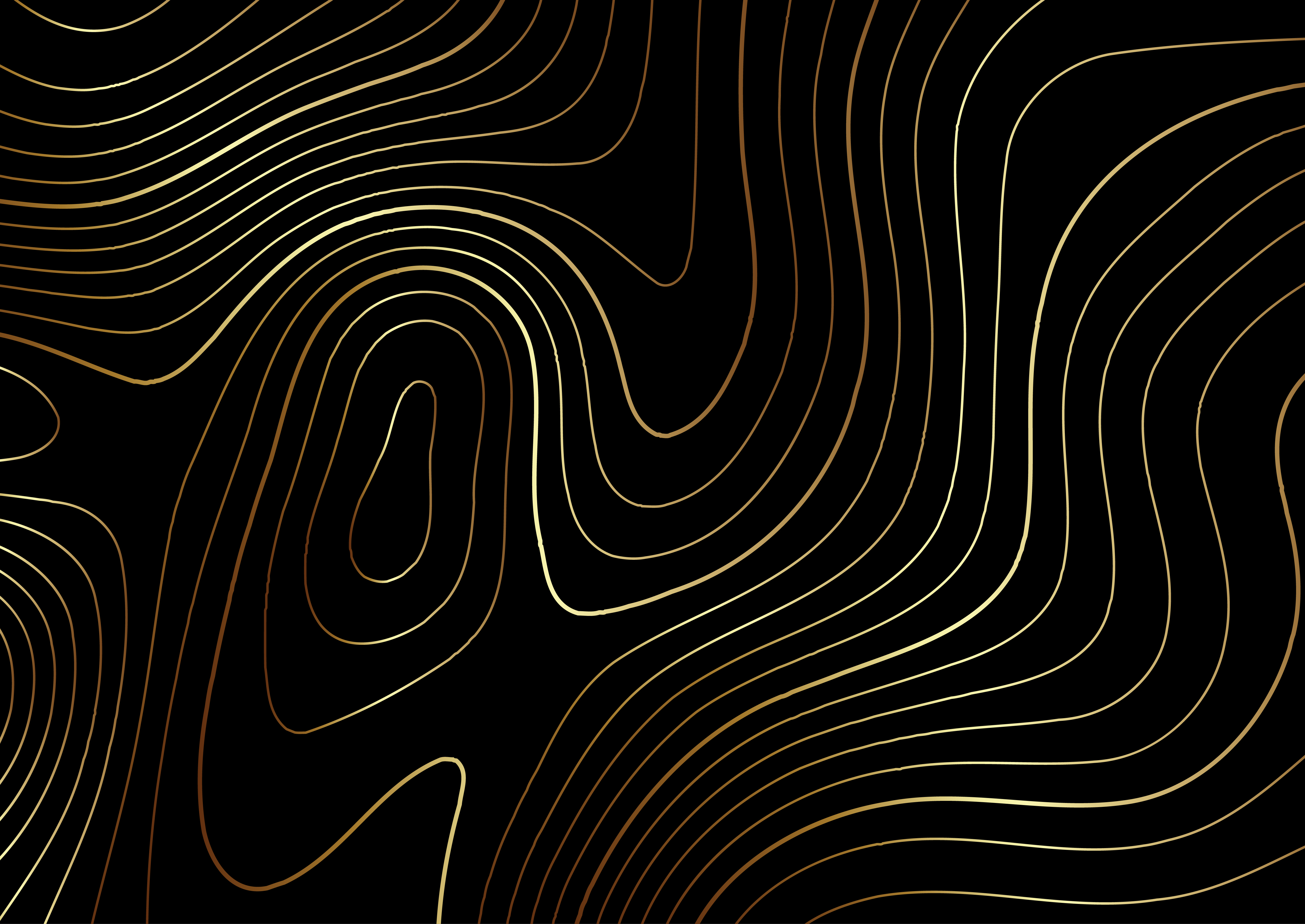 Black And White Topography Topography Map In Gold And Black 1216178 Vector Art At Vecteezy