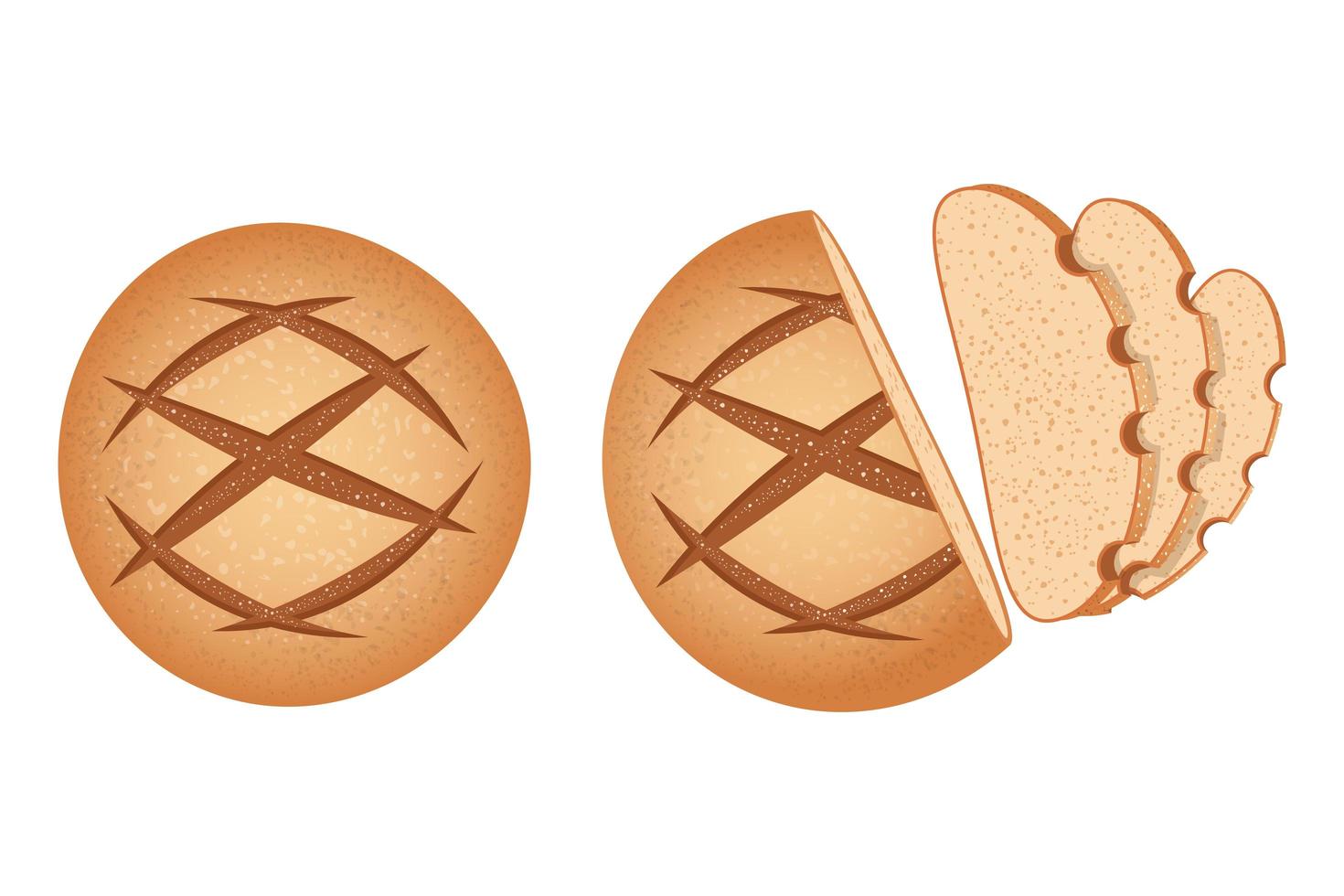 Homemade round bread set vector