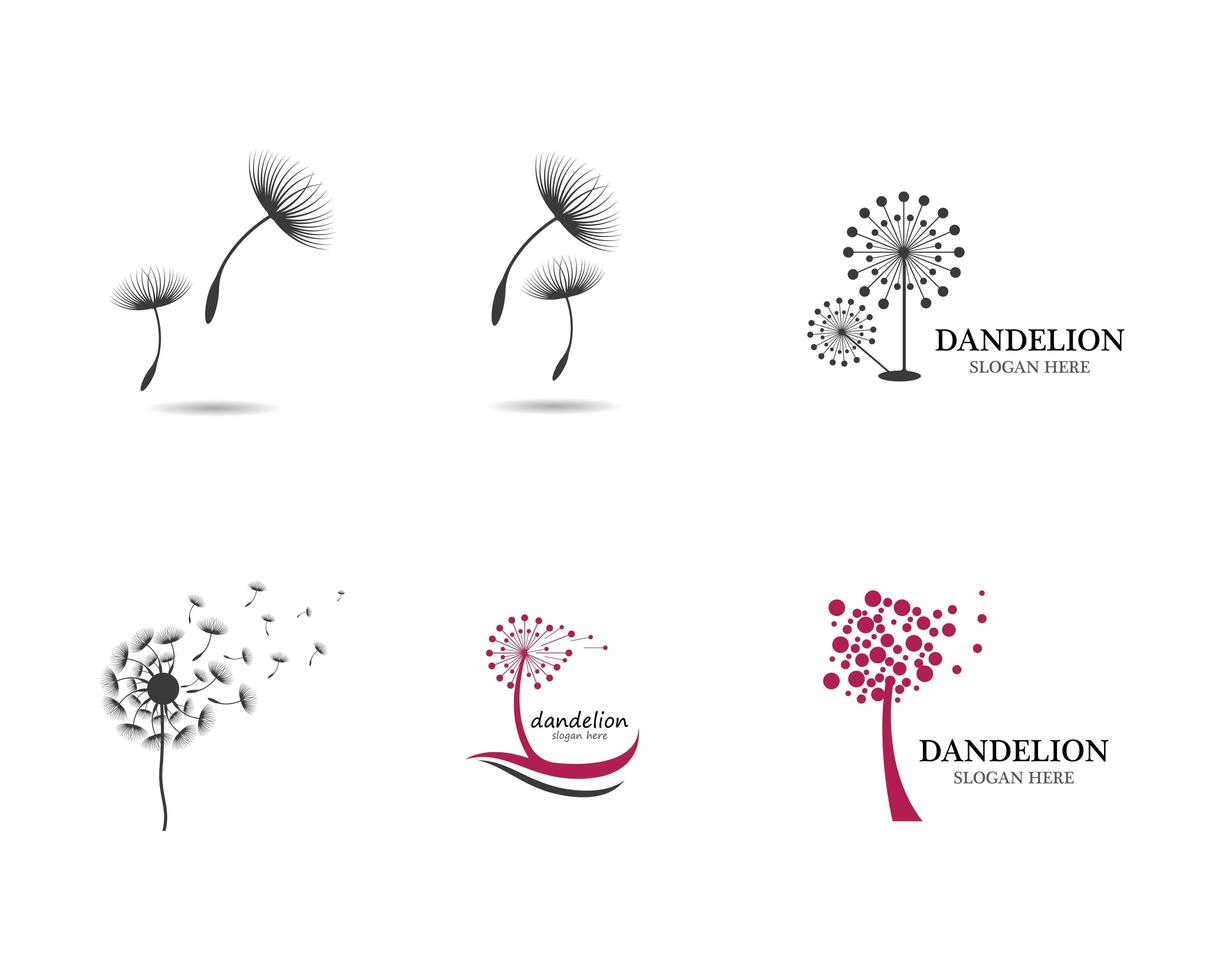 Dandelion Logo Set  vector