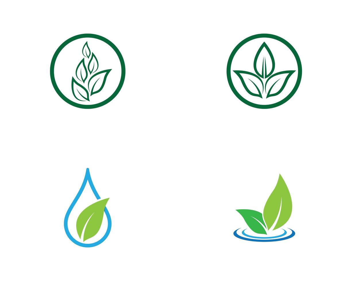 conjunto de logotipo ecología hoja verde vector