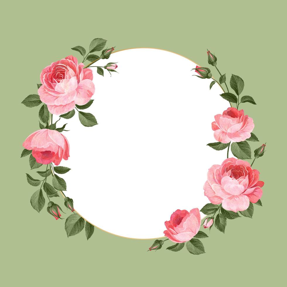 Blank floral frames vector