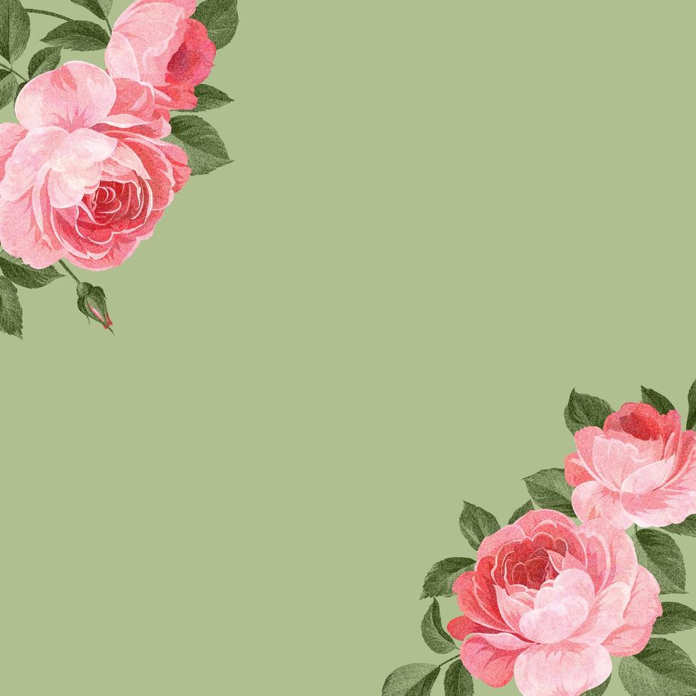 Fondo de rosas rosadas dibujadas a mano vector