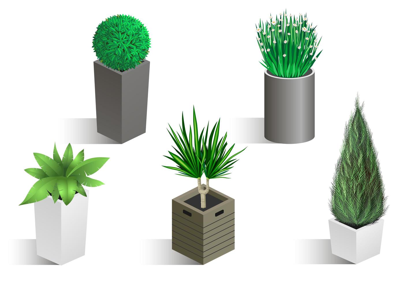 Isometric set of different plants in pots vector