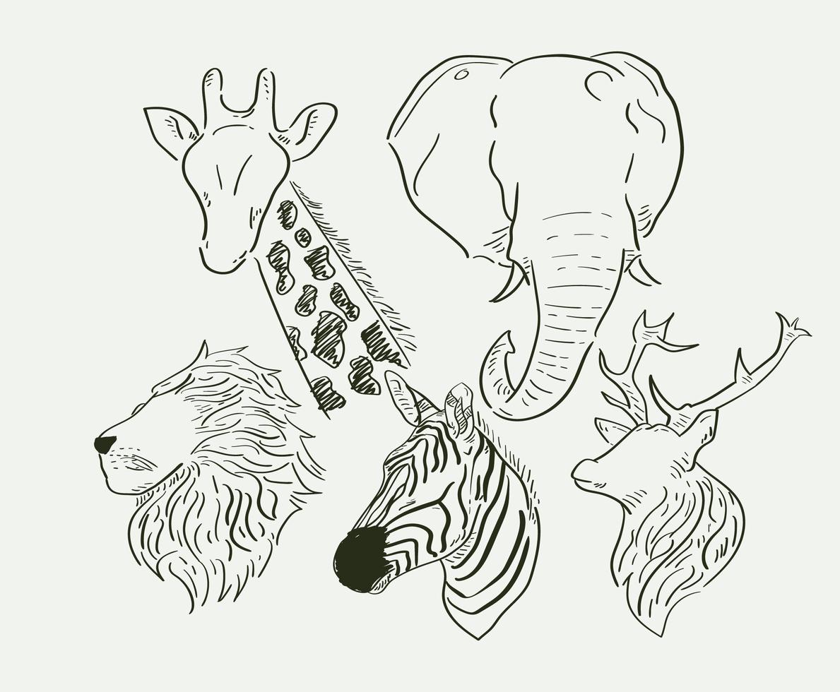 Hand drawn wild animals vector