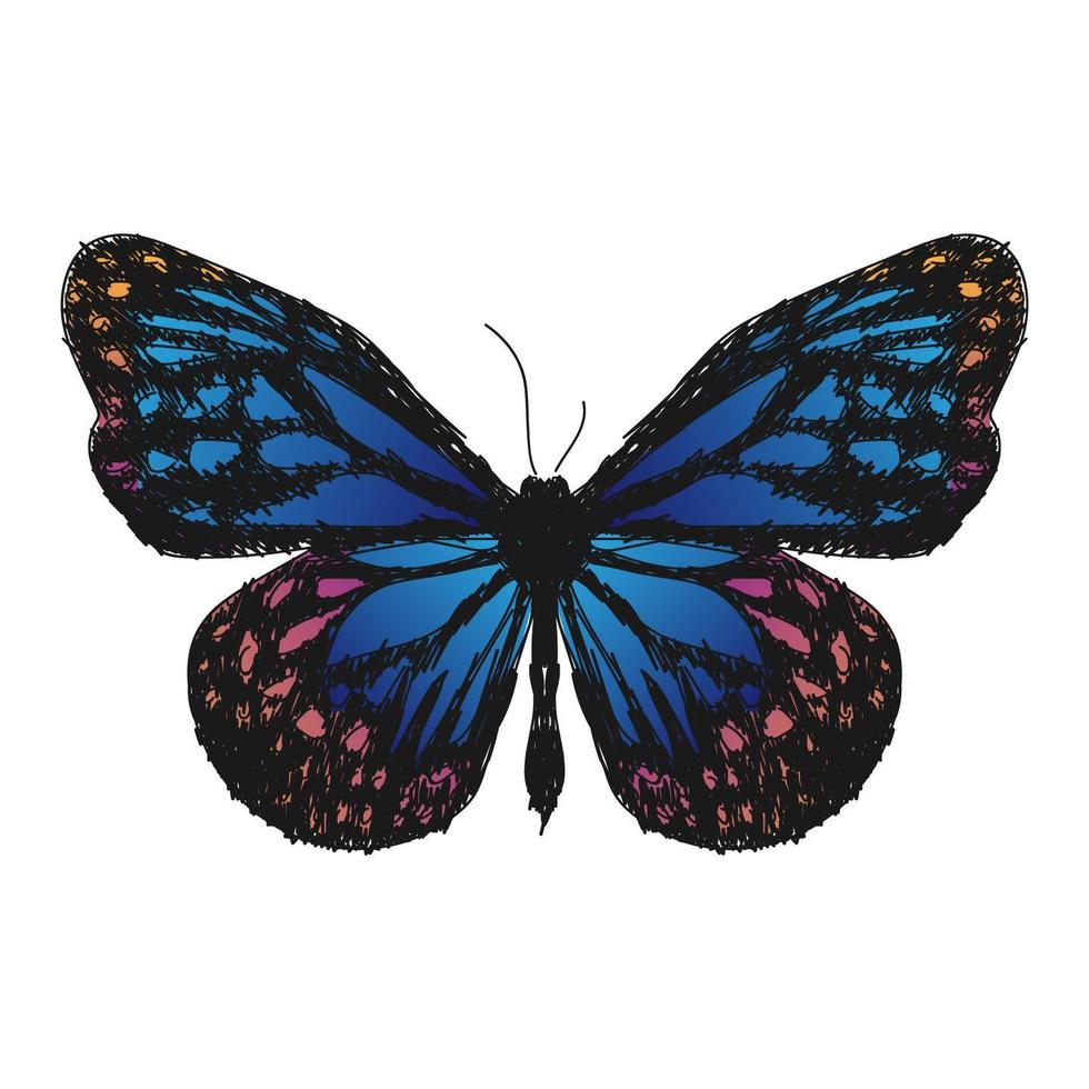 estilo de dibujo de ilustración de mariposa vector