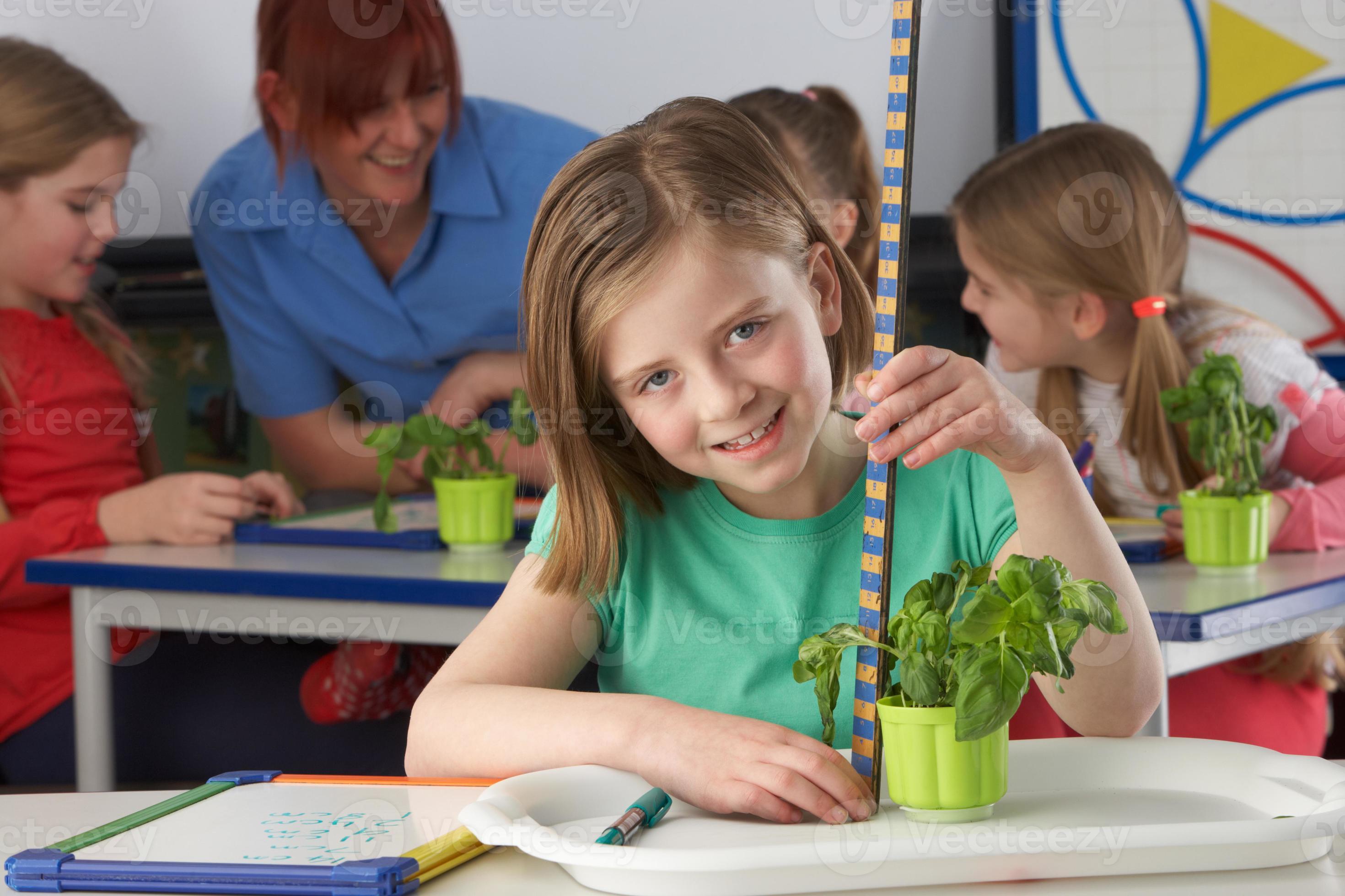 на урок ботаник. школьники экология. на урок ботаник. ботаника в школе. экология это в биологии.