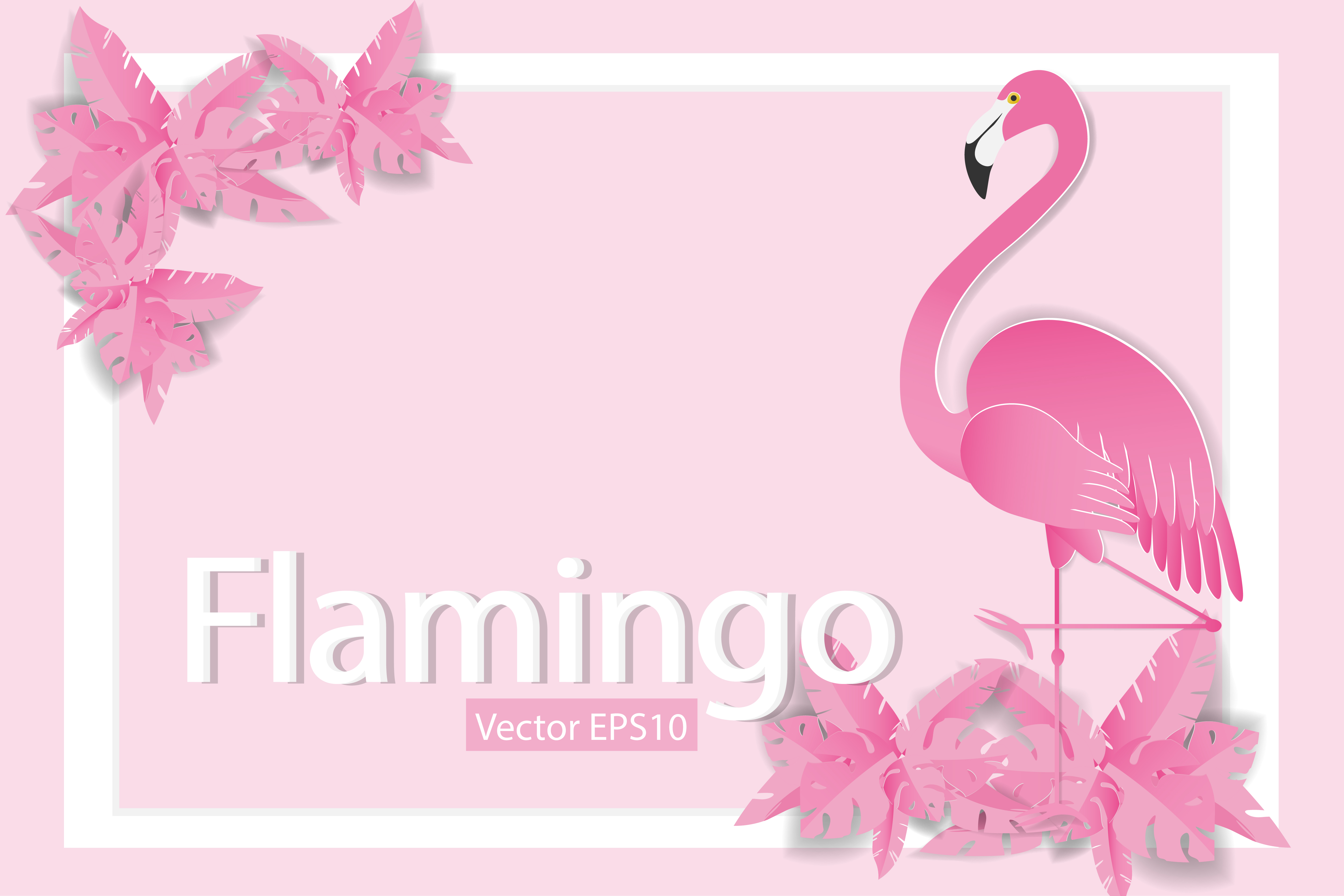 Flamingos on Pink Background with White Frame 1221837 Vector Art at