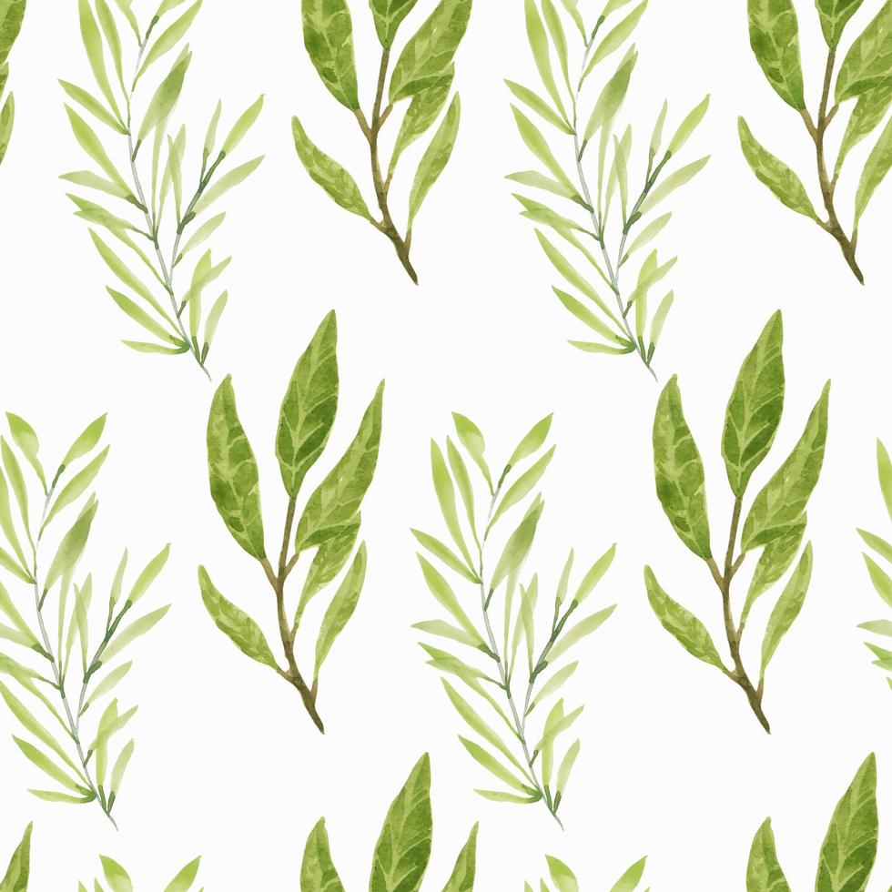 Watercolor green leaf branches seamless pattern vector