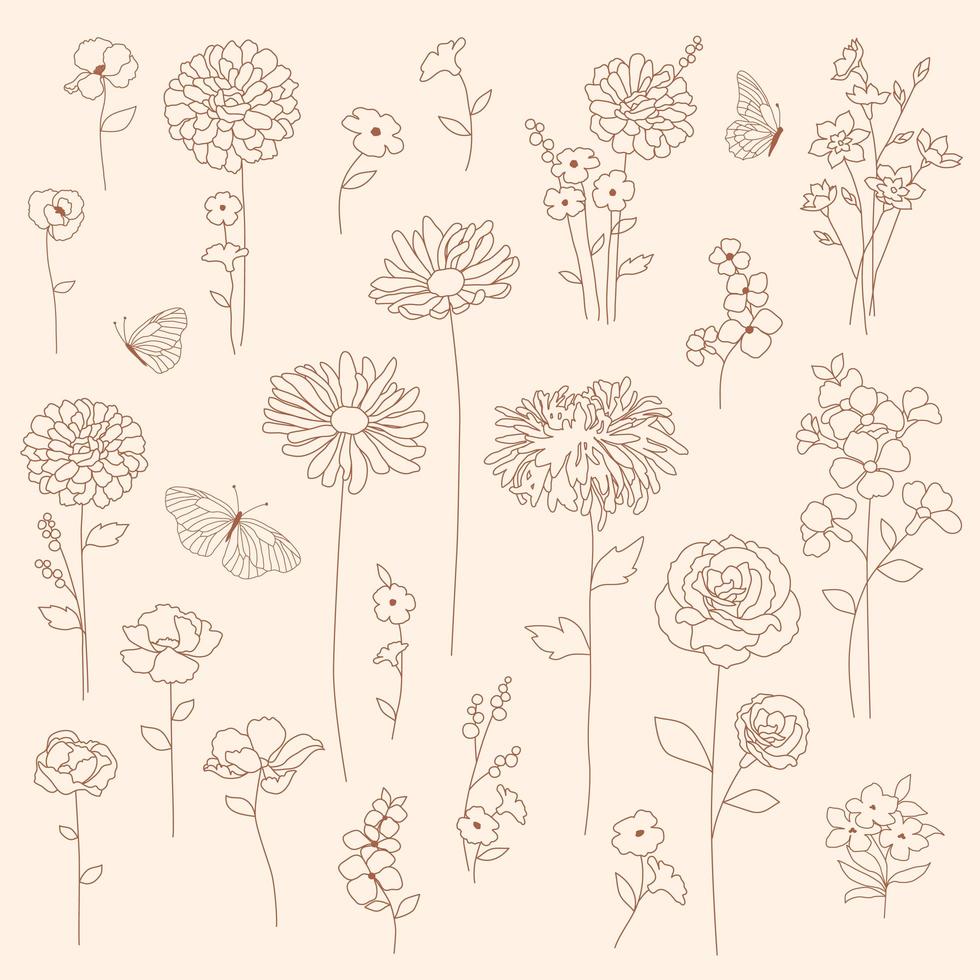 Hand drawn floral botanical set vector