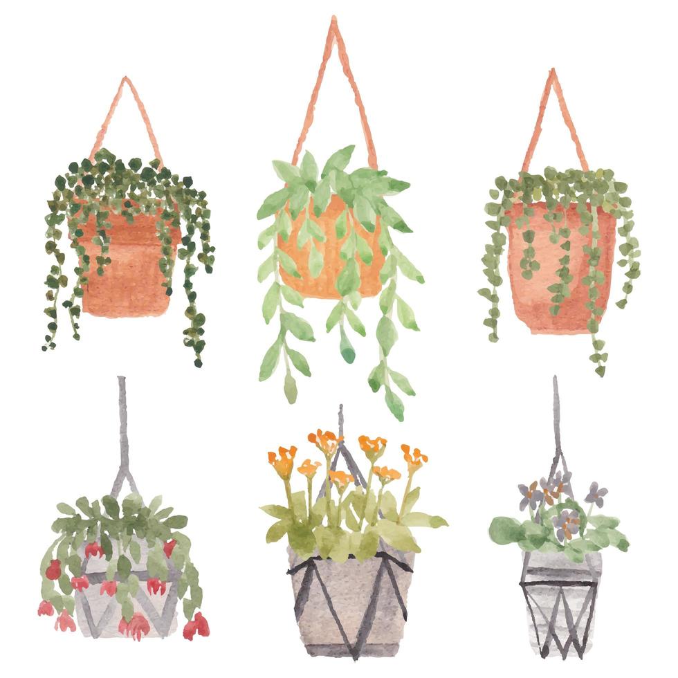 Hanging plant with pot watercolor set vector