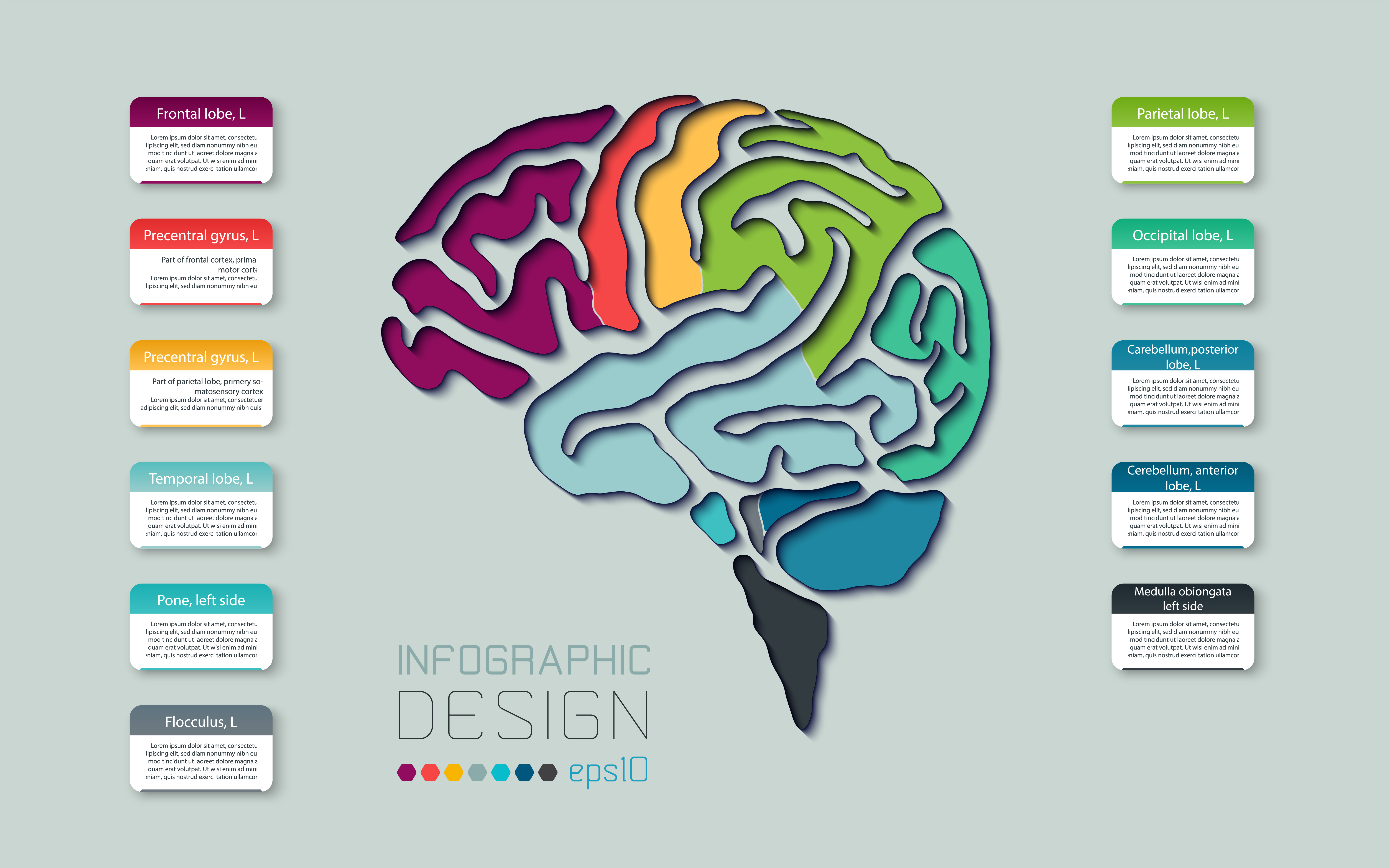 Brain diagram colorful line infographic 1222420 Vector Art at Vecteezy Brain diagram colorful line infographic 1222420 Vector Art at Vecteezy