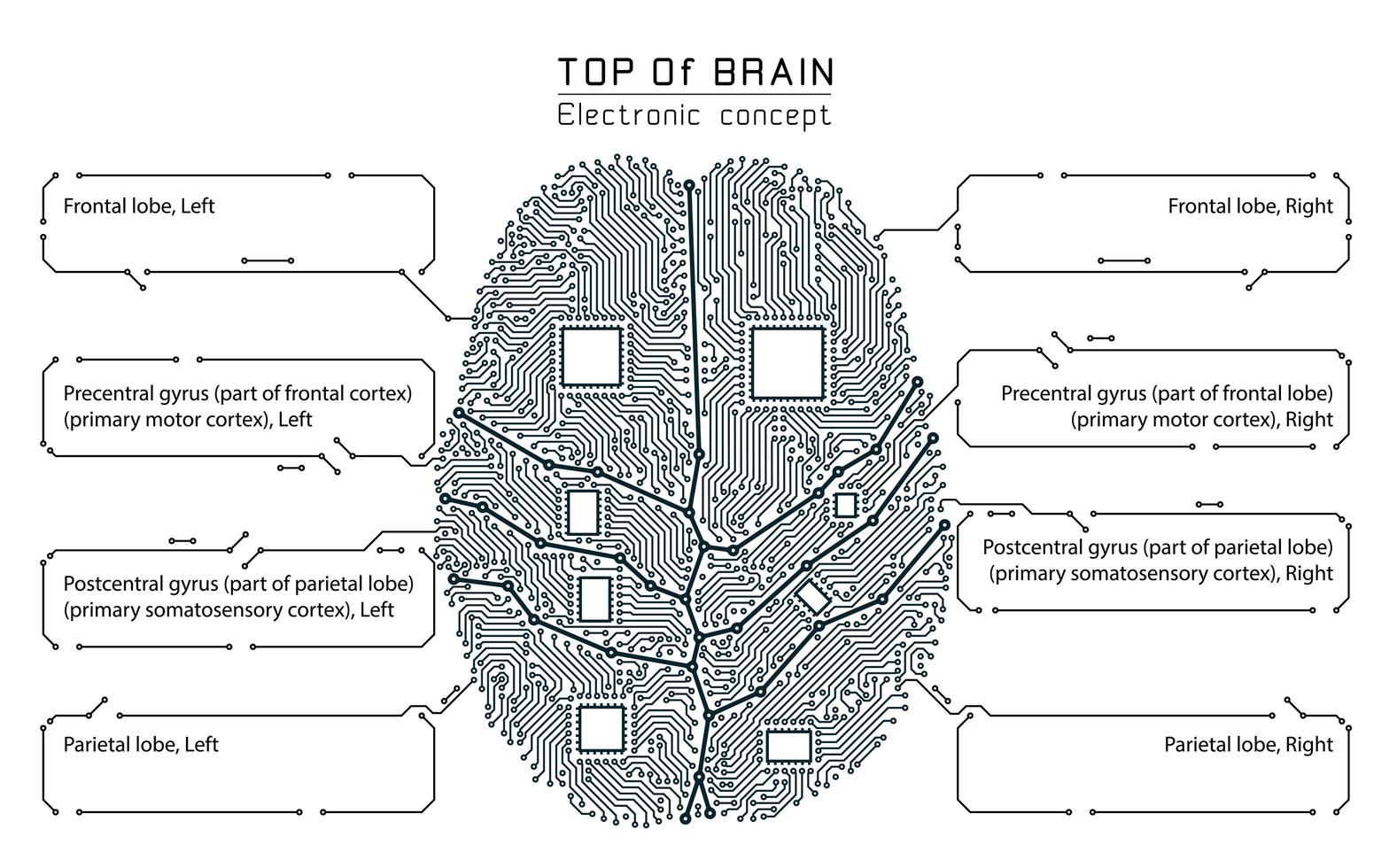 Black and white technology style brain infographic vector