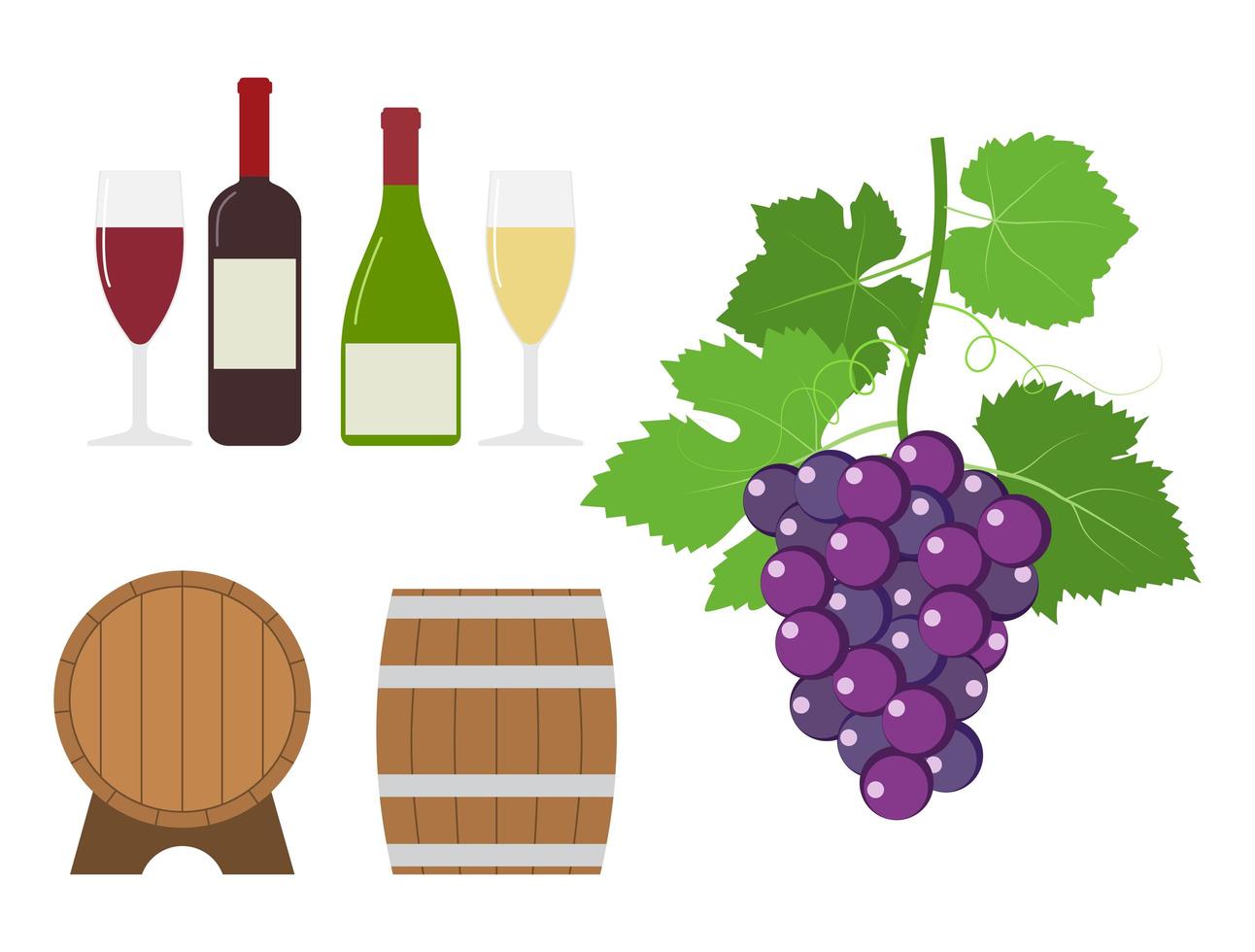 conjunto de productos de uva y vino vector