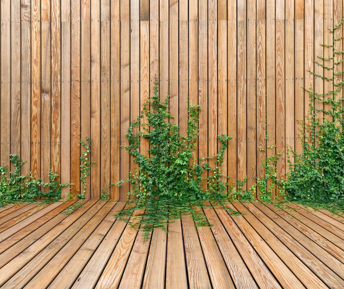 Wooden wall with ivy growing on it photo