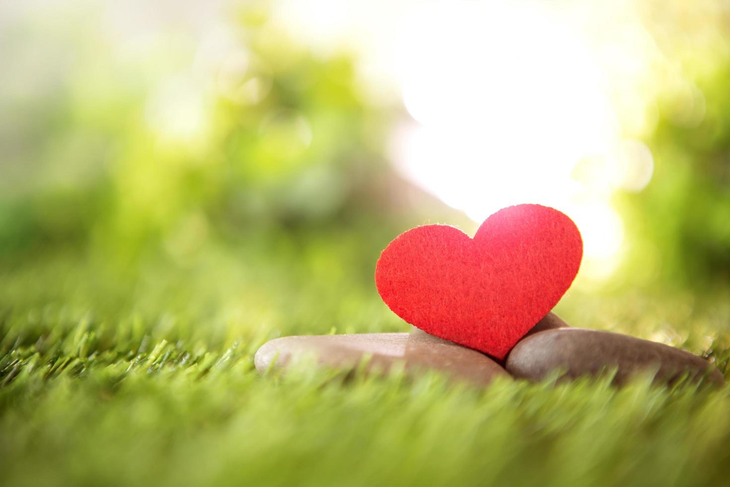 Red paper heart on green grass  photo