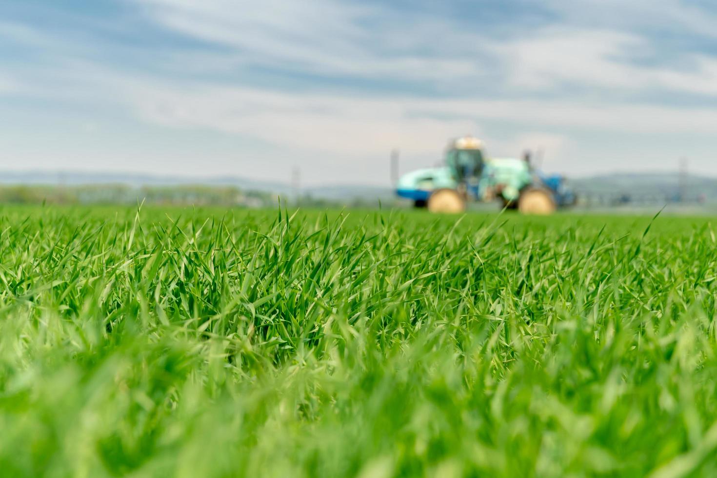 Tall field of grass with blurred tractor photo