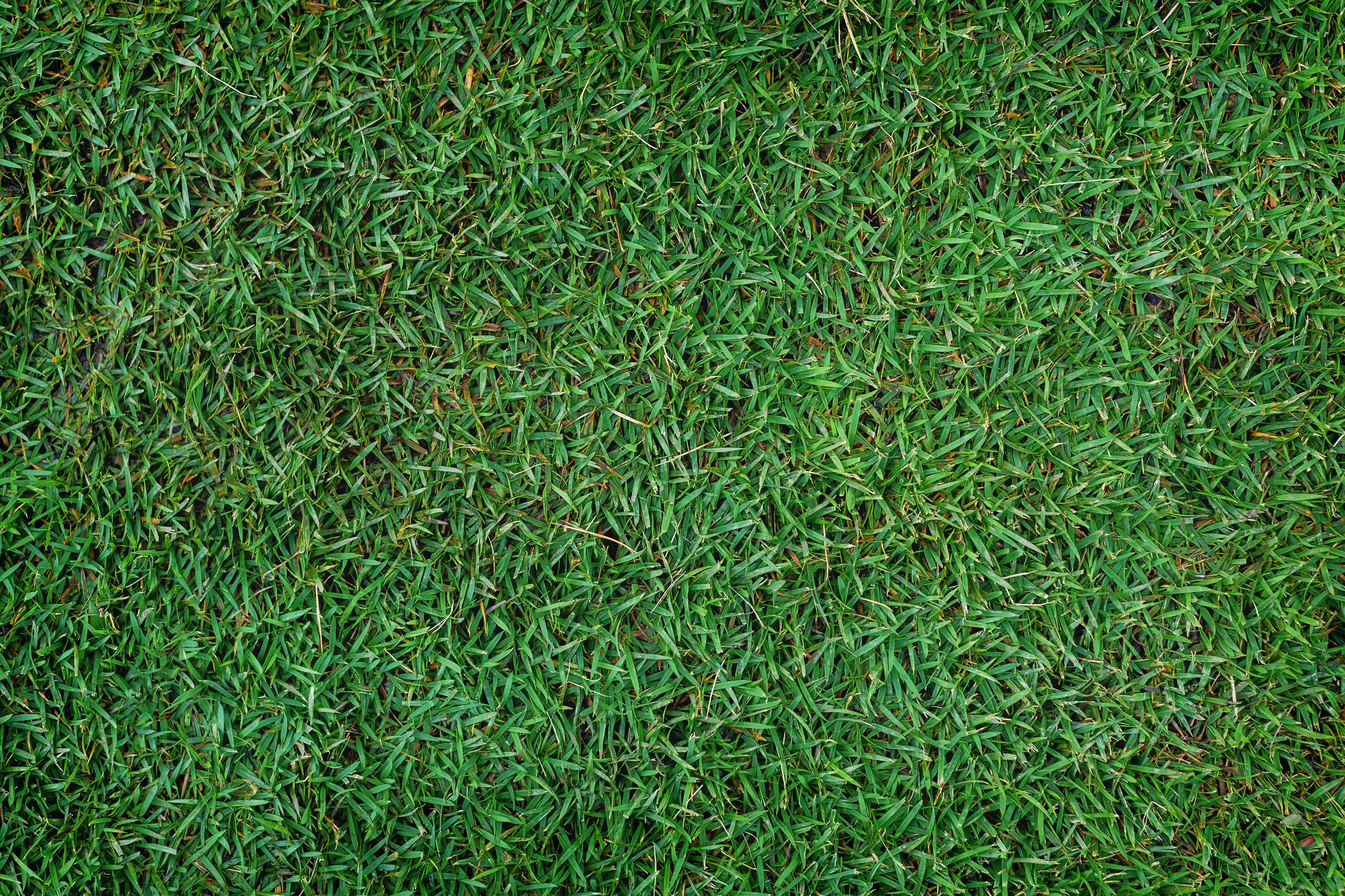 Green grass patch 1223701 Stock Photo at Vecteezy