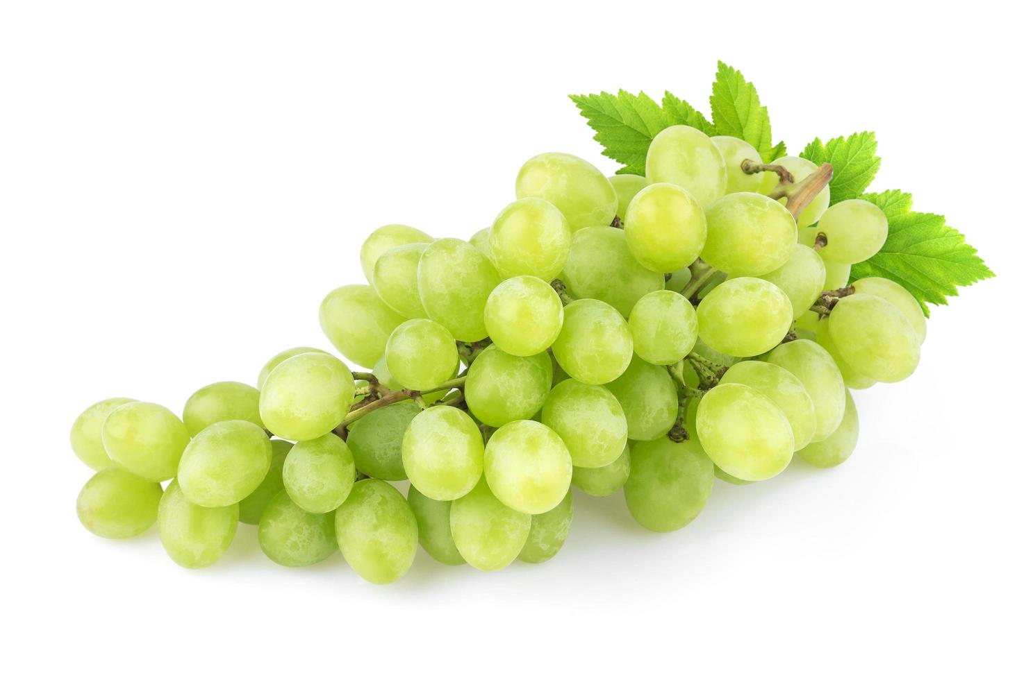 Grapes isolated on white background photo