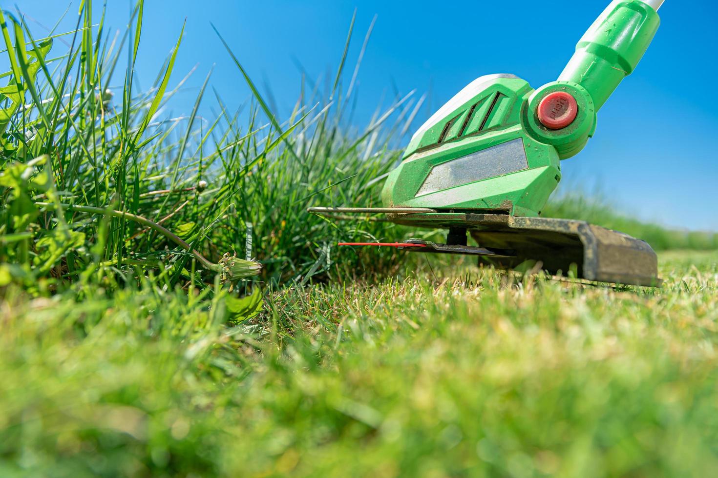 Electric lawn mower cuts grass photo