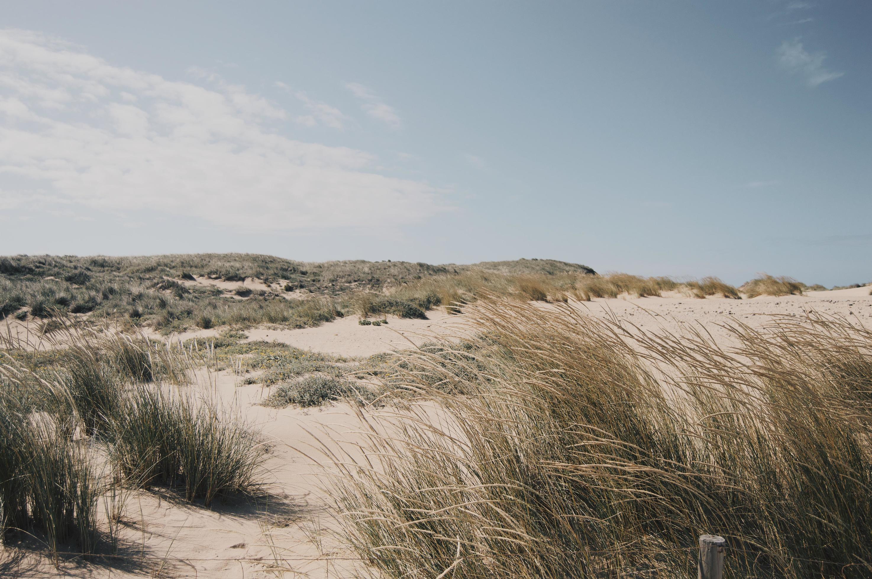 Beach Sand Dunes In Portugal Stock Photo