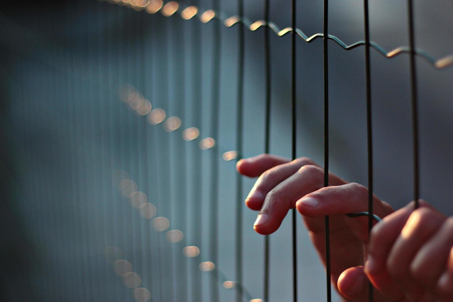 Fingers grip fence photo