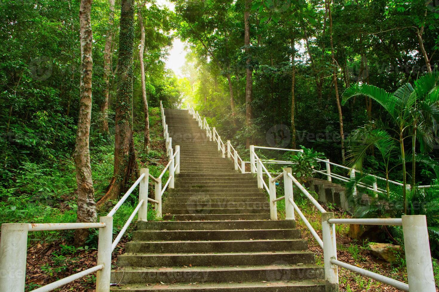 Scenic nature trails photo