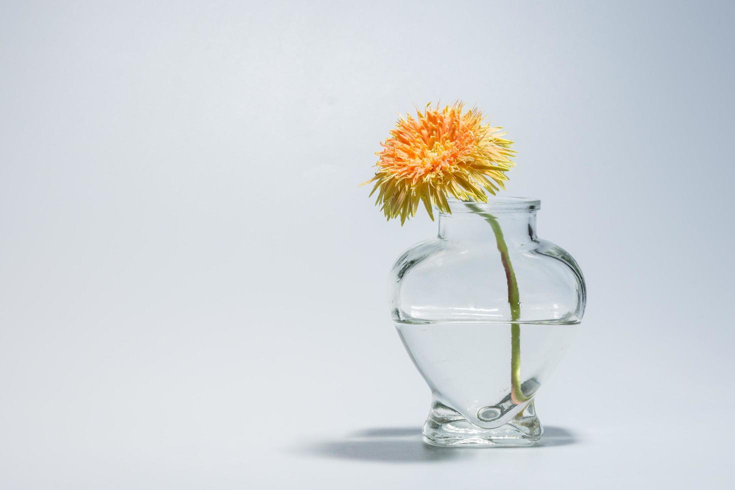 Flower in a clear vase photo