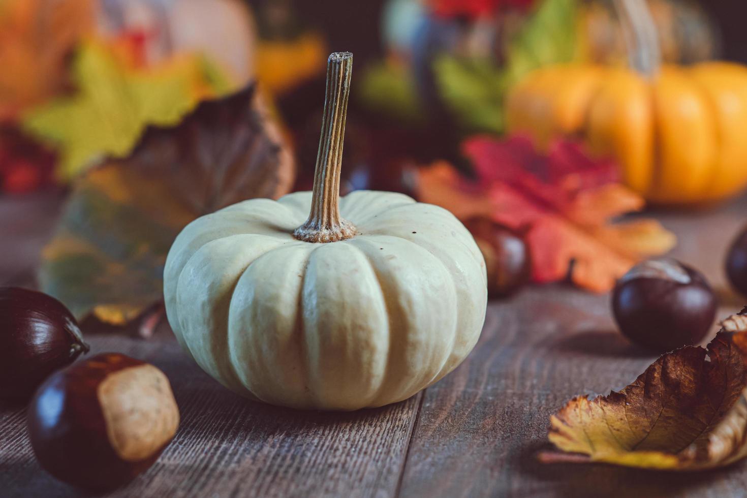White pumpkin with autumn leaves Stock Photo
