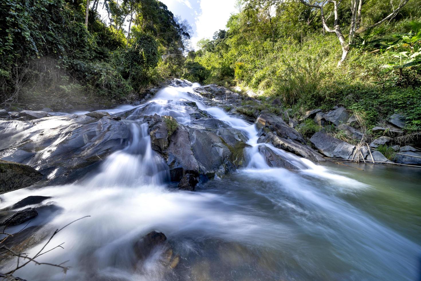 Time-lapse río y bosque foto