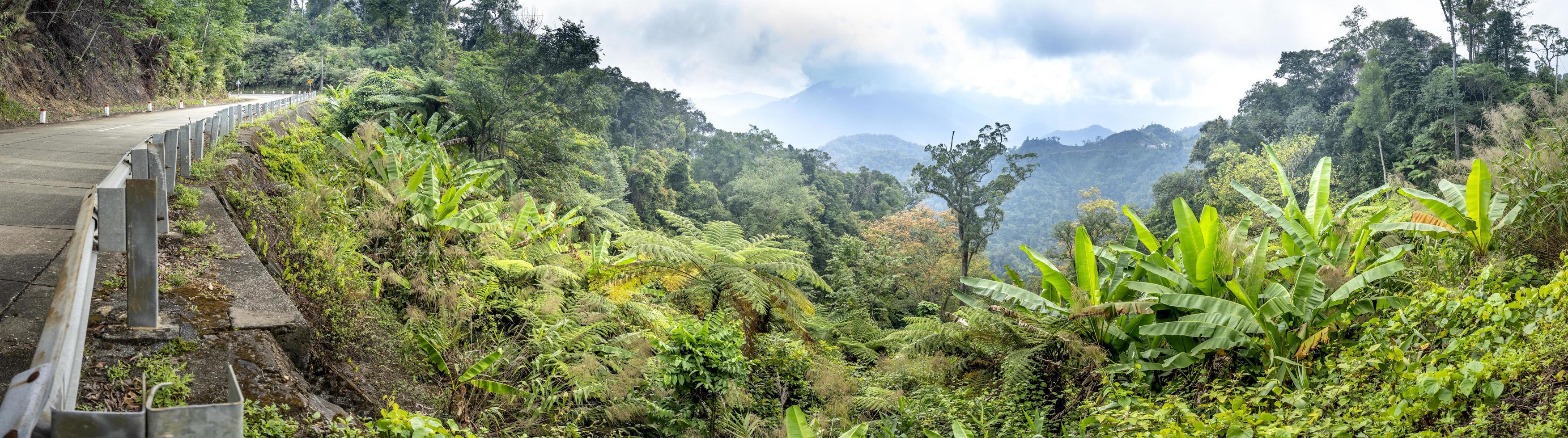 Panorama of jungle, highway, mountains, and cloudy sky photo