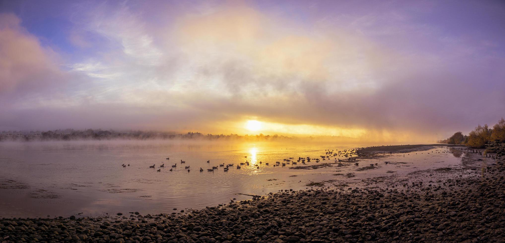 Seashore during sunset photo