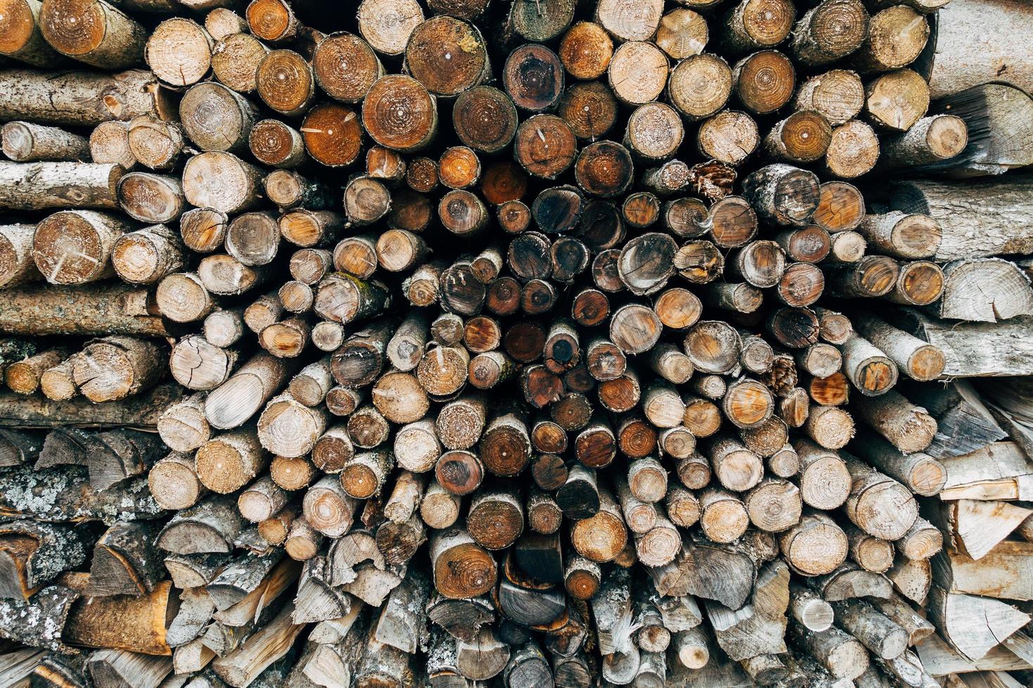 pila de troncos de madera foto