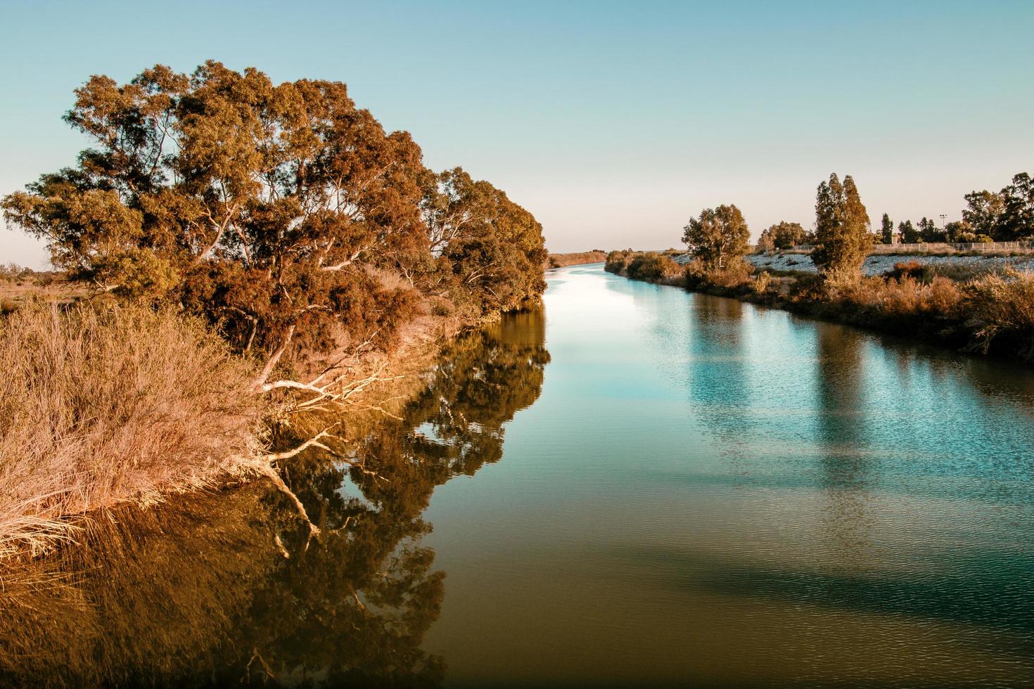 View of river beside autumn trees photo