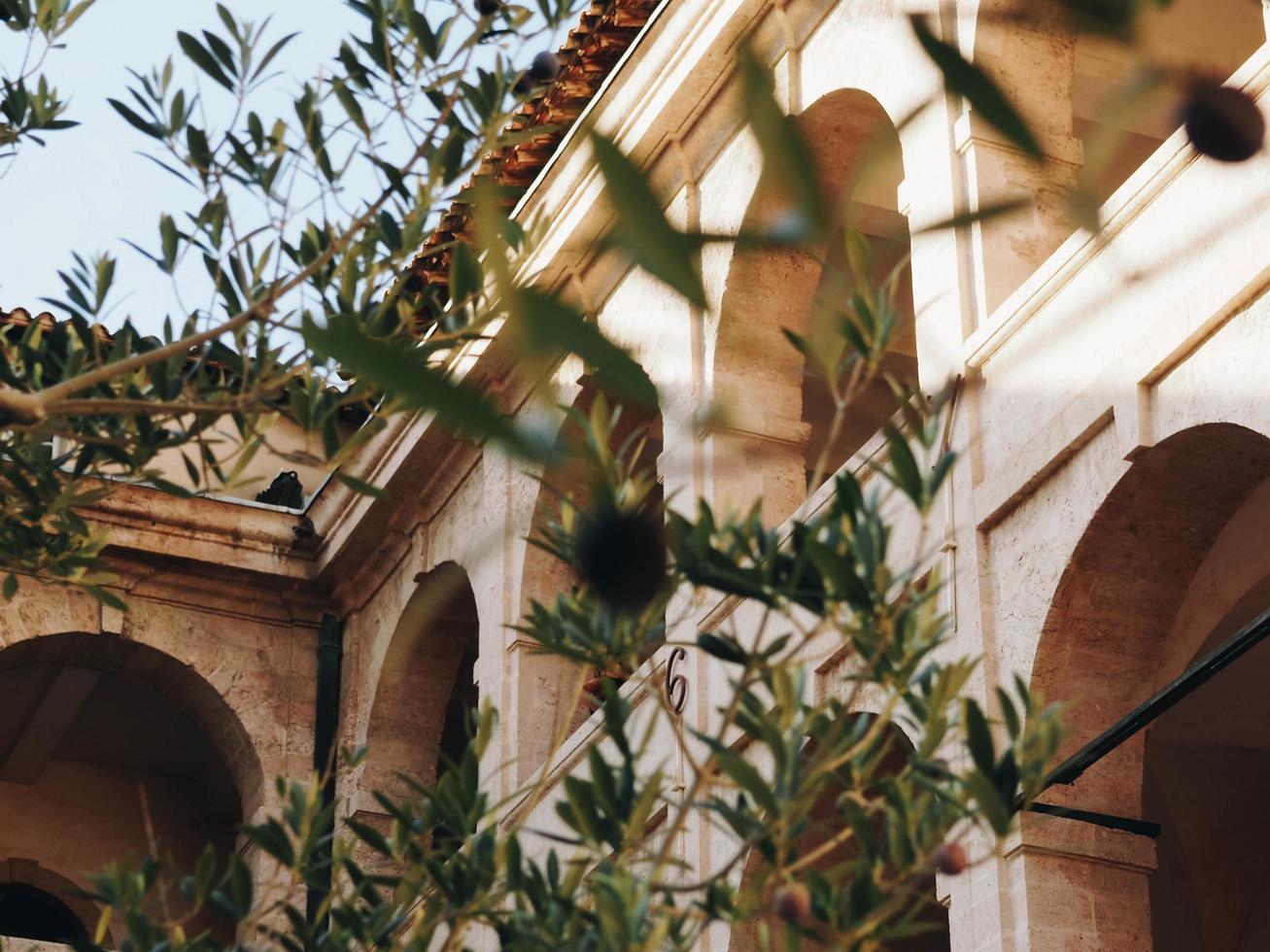 Beige building through green leaves photo