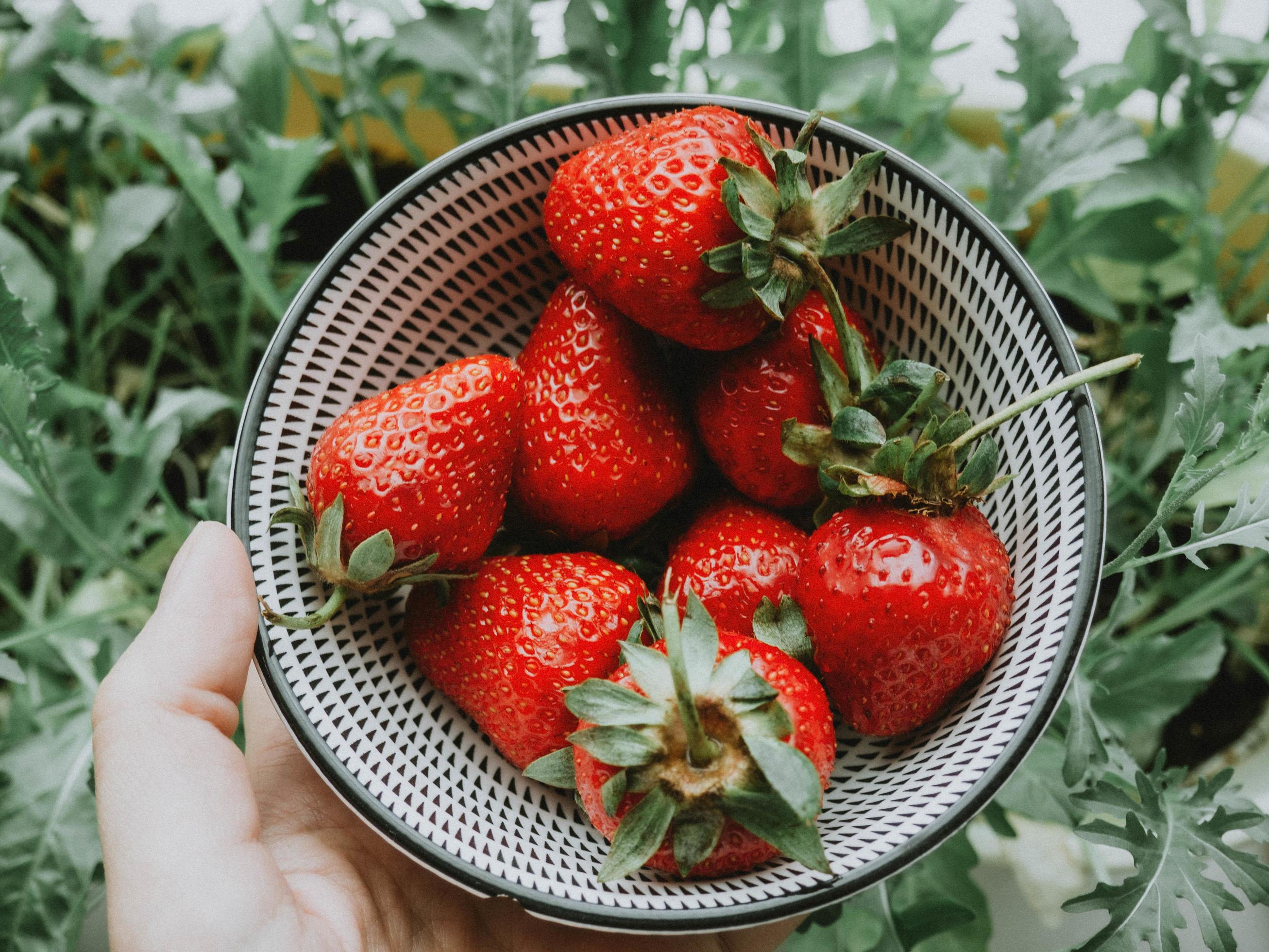 Strawberries in bowl 1224764 Stock Photo at Vecteezy