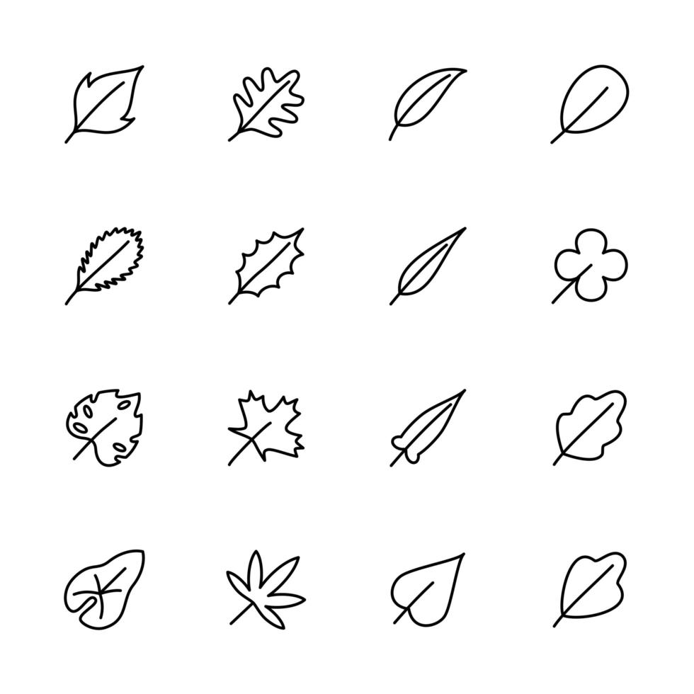 conjunto de iconos de línea de hoja vector