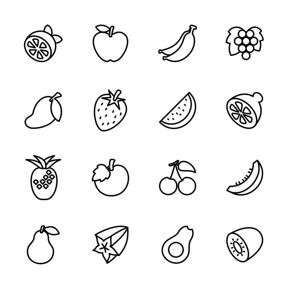 icono de línea establece fruta popular vector