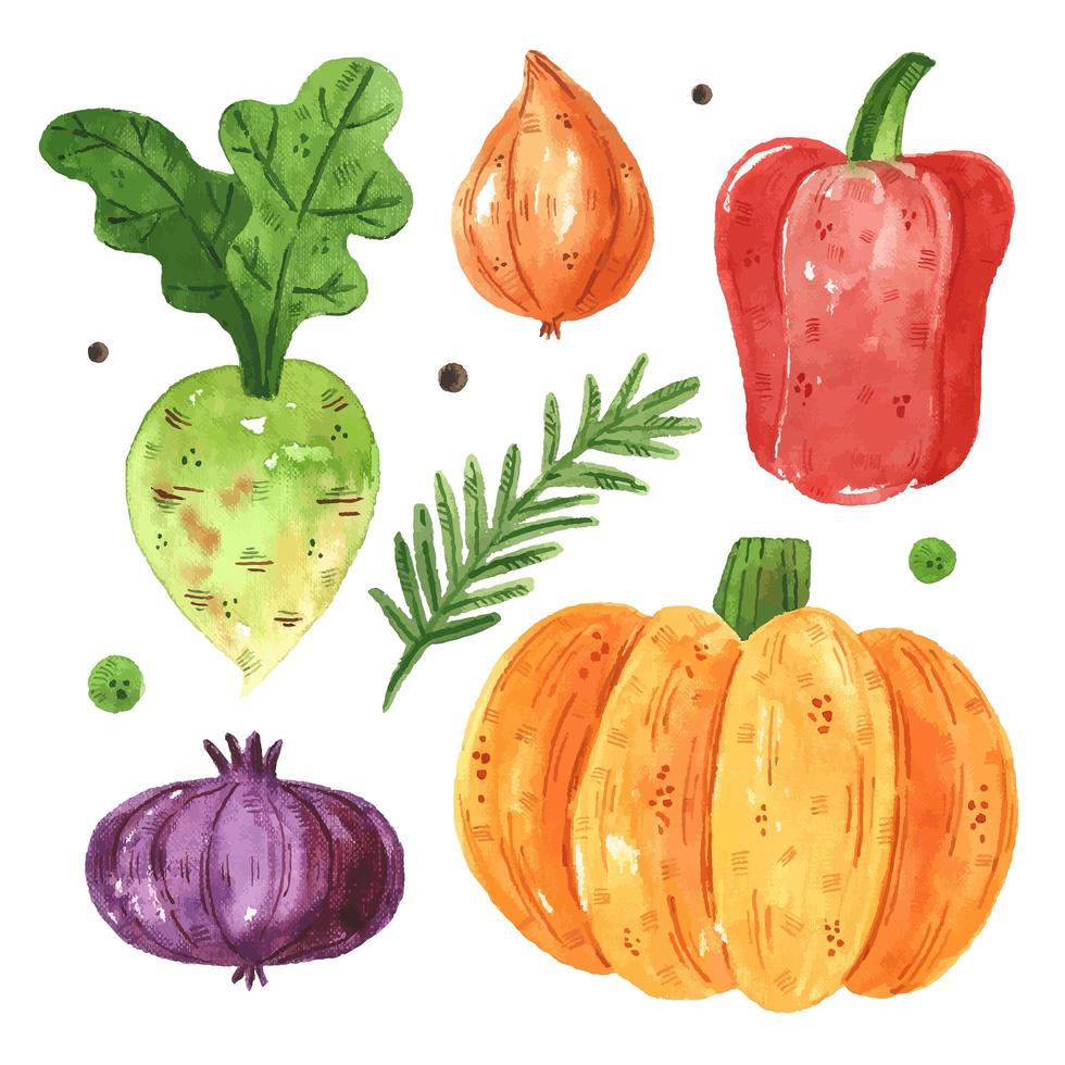 conjunto de verduras de temporada vector