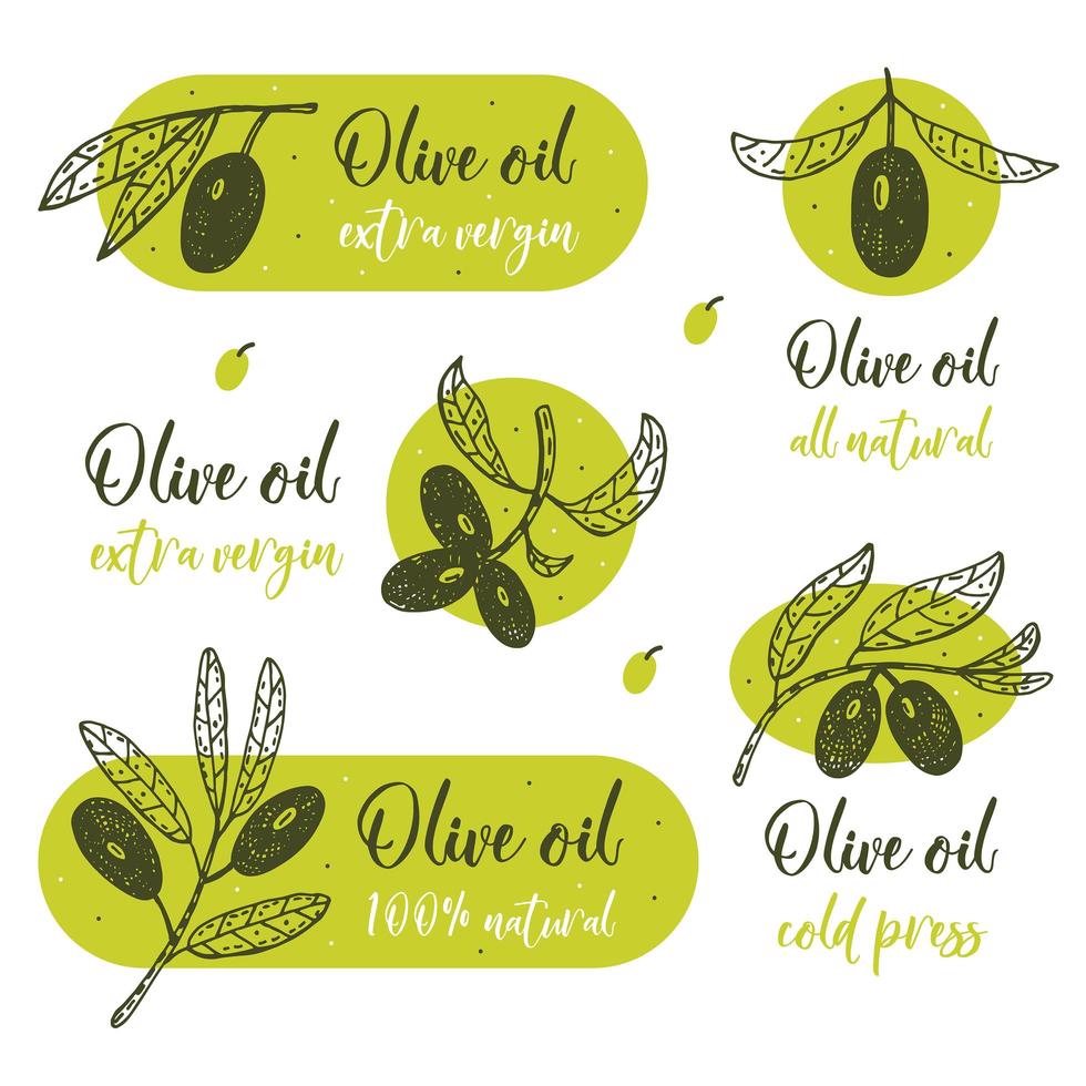 Olive branch with lettering  vector