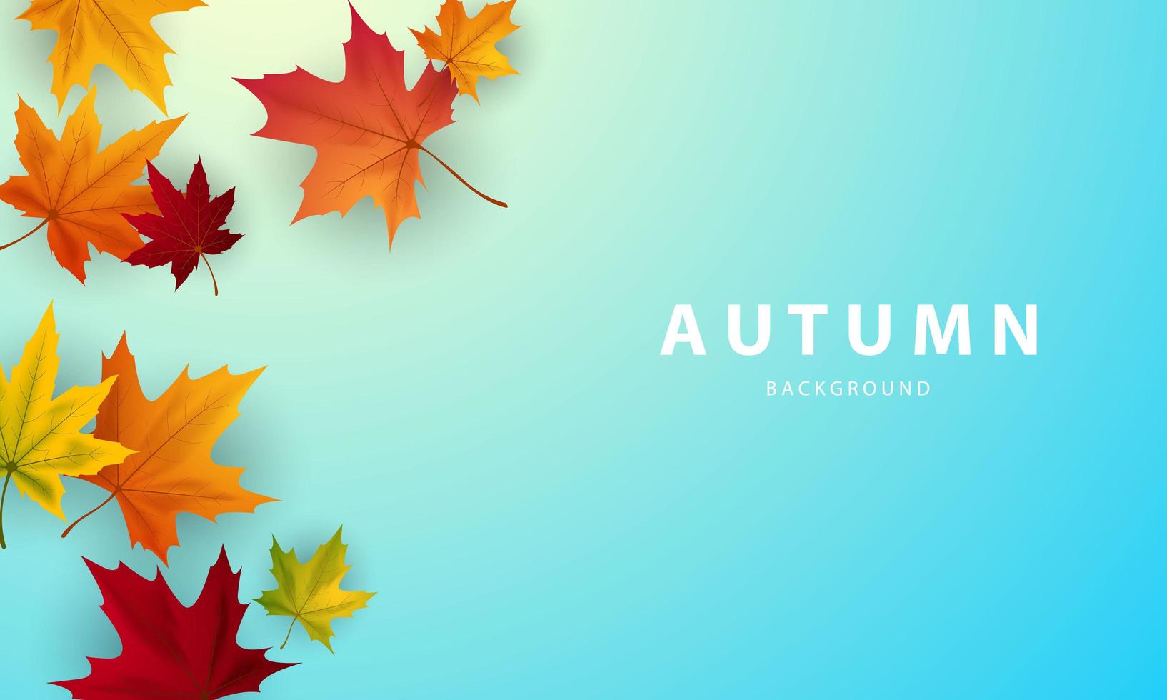 Autumn poster with falling leaves border vector