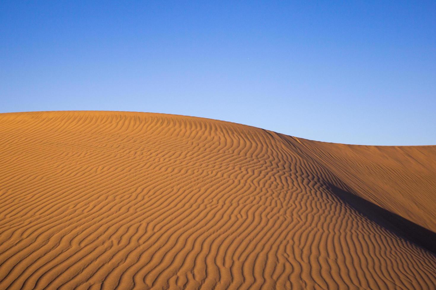 Sand dunes in full sun photo