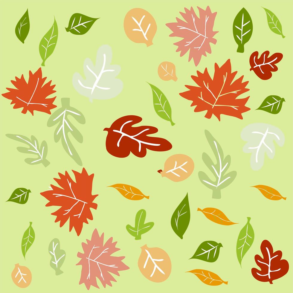 Autumn leaves collection 1225797 Vector Art at Vecteezy