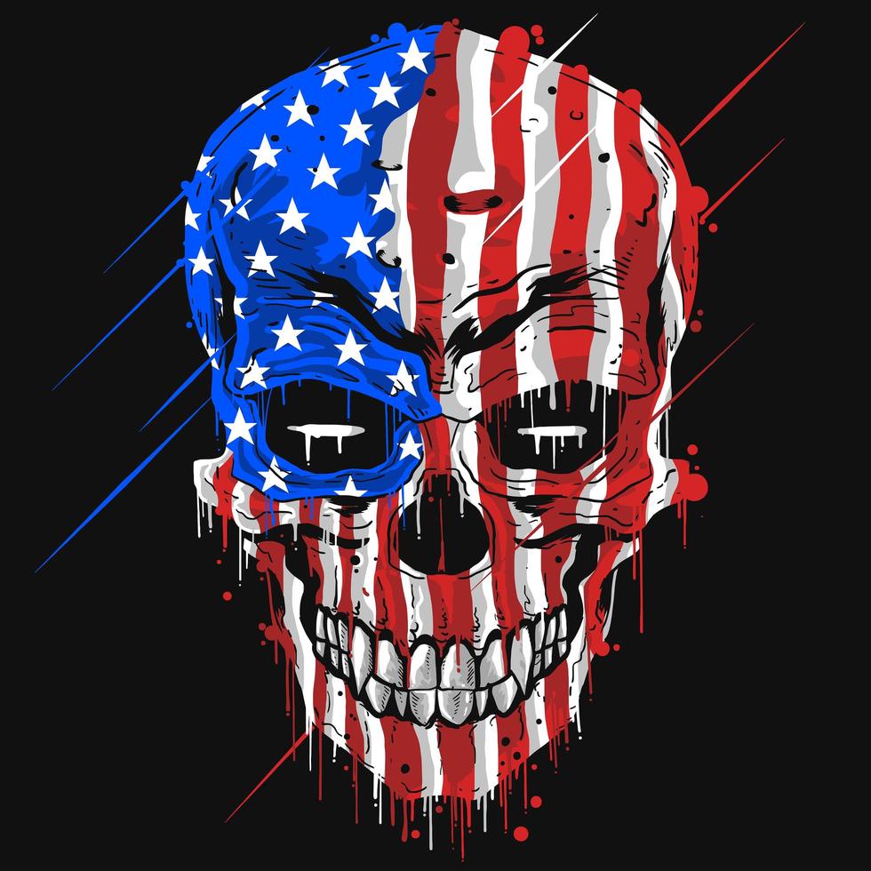 Skull with an american flag vector