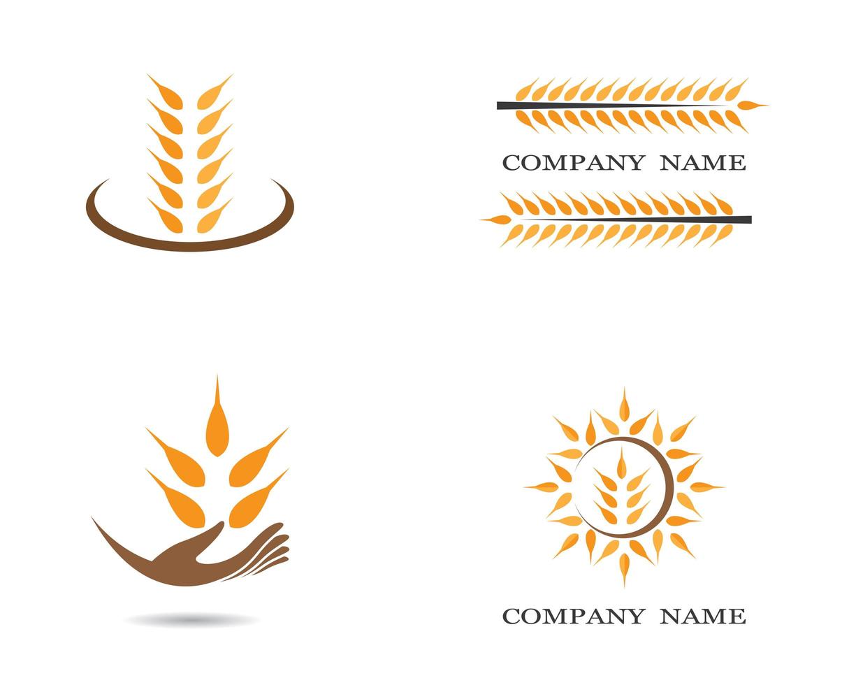 Wheat grain logo icon set vector